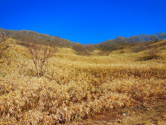 DSCN2141.jpg