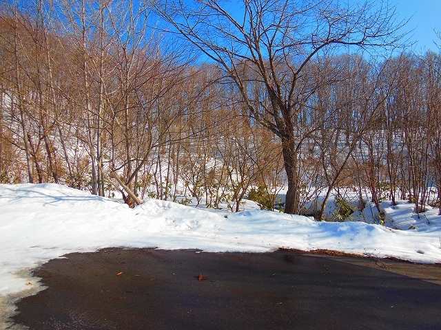 DSCN2146.jpg
