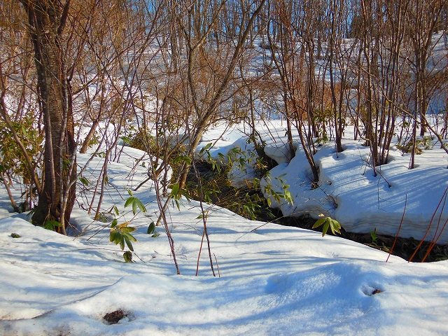 DSCN2147.jpg