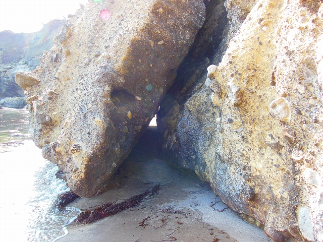 DSCN2171.jpg