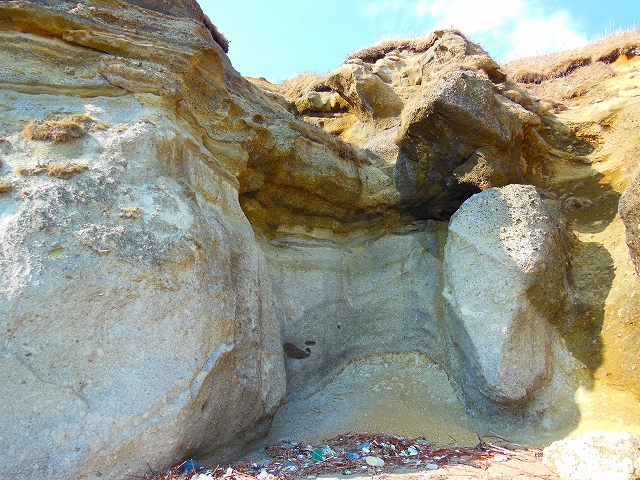 DSCN2176.jpg
