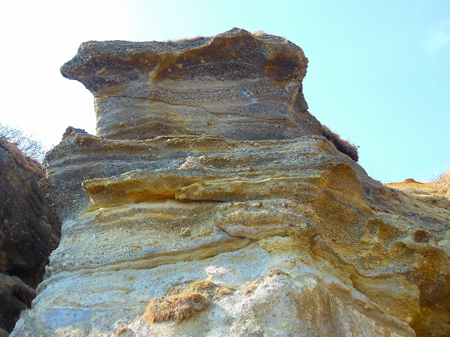 DSCN2177.jpg