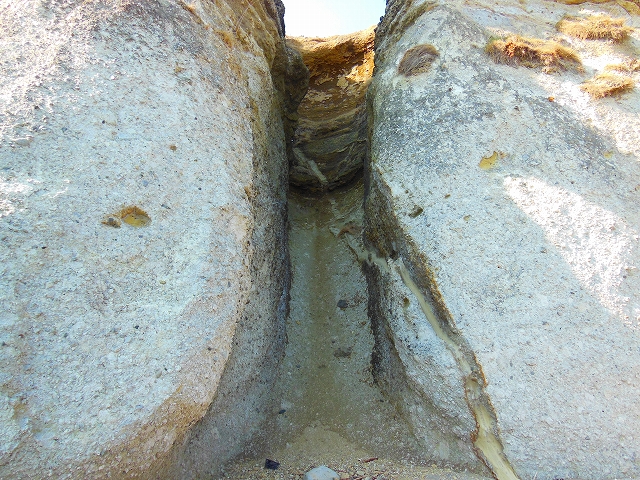 DSCN2180.jpg