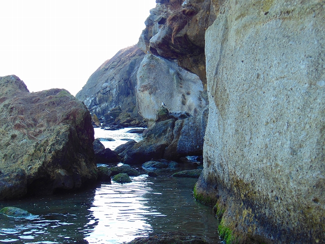 DSCN2186.jpg