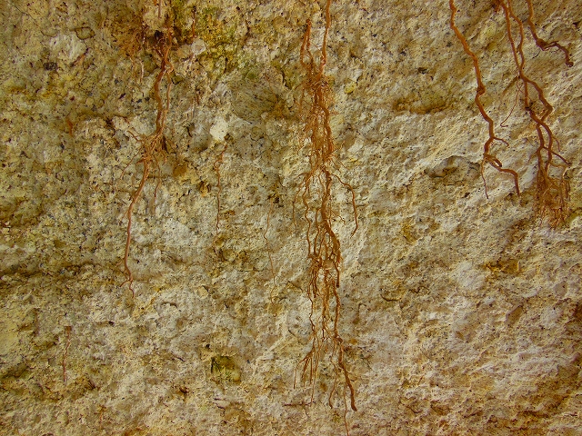 DSCN2197.jpg