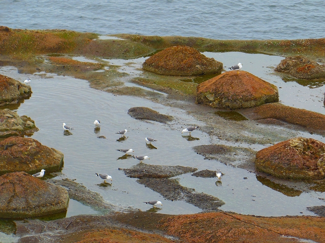 DSCN2317.jpg