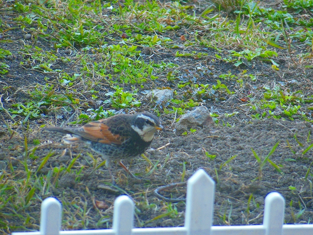 DSCN2387.jpg