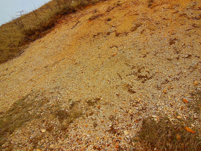 DSCN2473.jpg