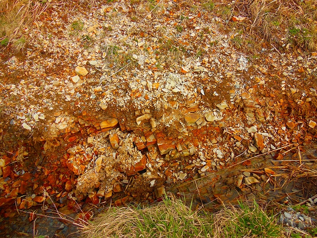 DSCN2477.jpg