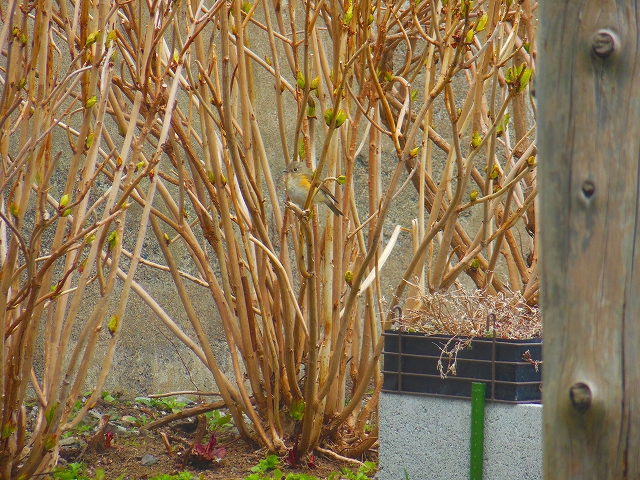 DSCN2634.jpg