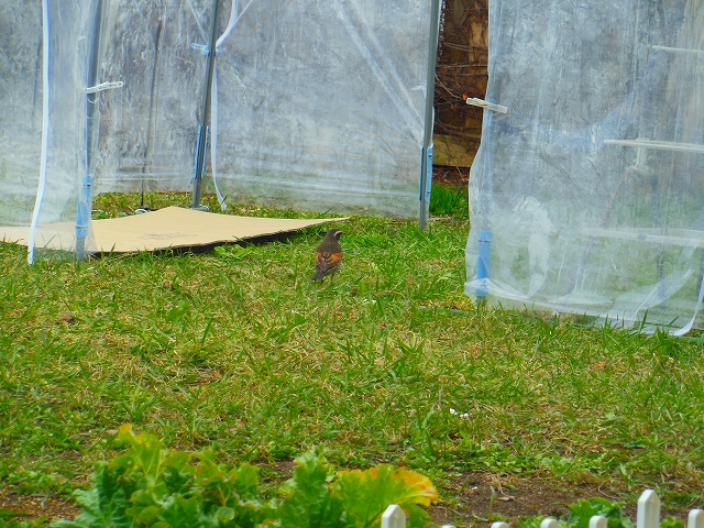 DSCN2640.jpg