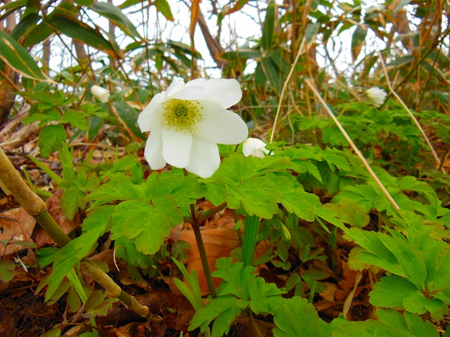 DSCN2656.jpg