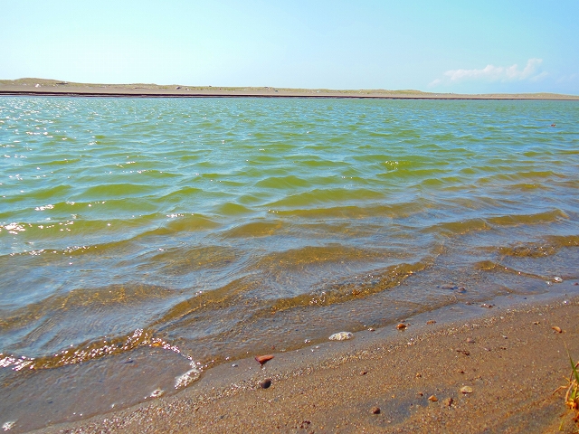 DSCN2703.jpg