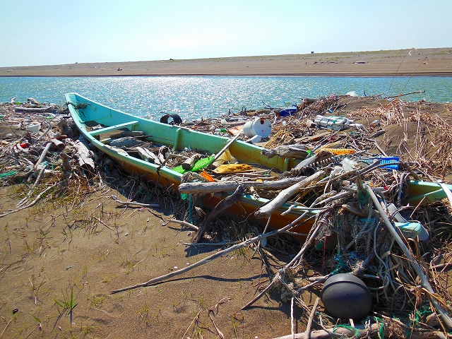 DSCN2705.jpg