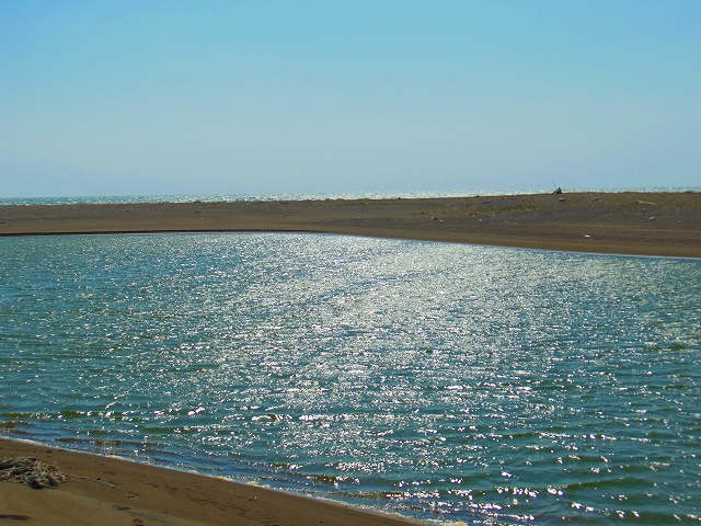 DSCN2715.jpg