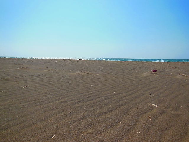 DSCN2733.jpg