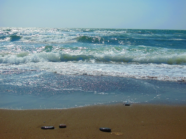 DSCN2752.jpg