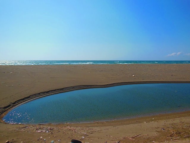 DSCN2766.jpg