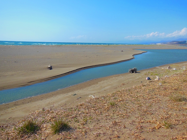 DSCN2768.jpg