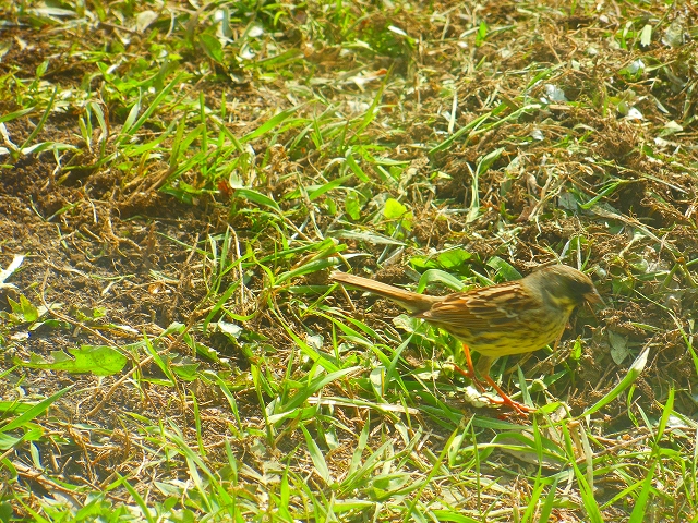 DSCN2848.jpg