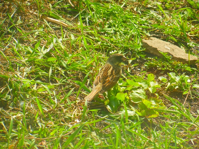 DSCN2850.jpg