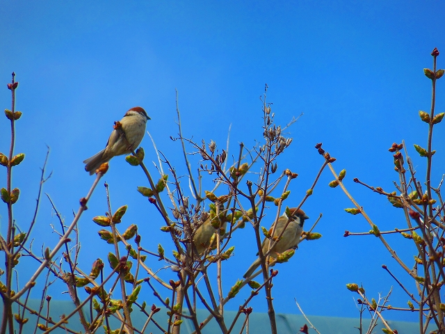 DSCN2856.jpg