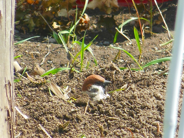 DSCN2859.jpg
