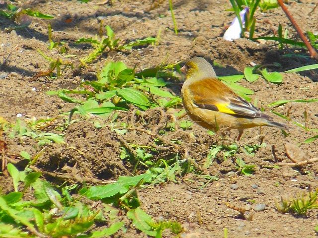 DSCN2890.jpg