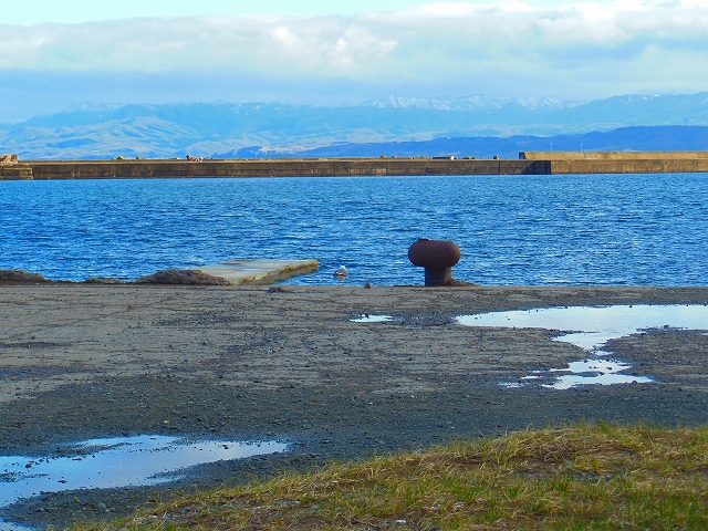 DSCN3031.jpg