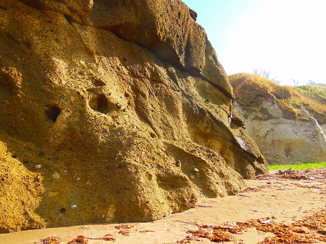 DSCN3051.jpg
