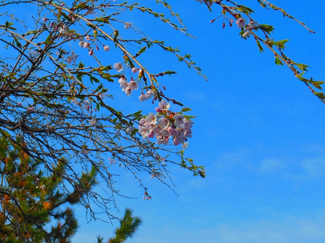 DSCN3192.jpg