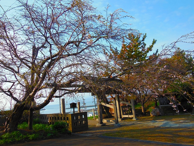 DSCN3193.jpg