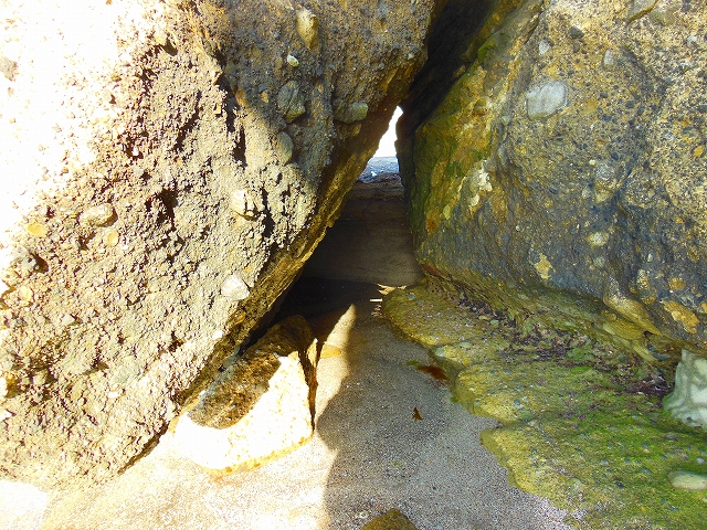 DSCN3270.jpg