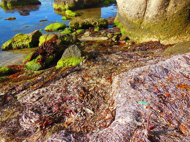DSCN3275.jpg