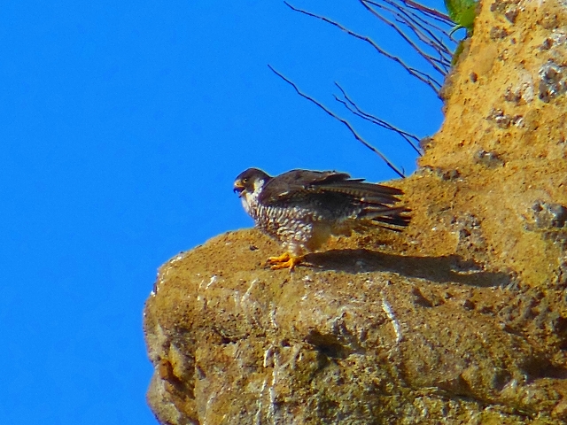 DSCN3279.jpg