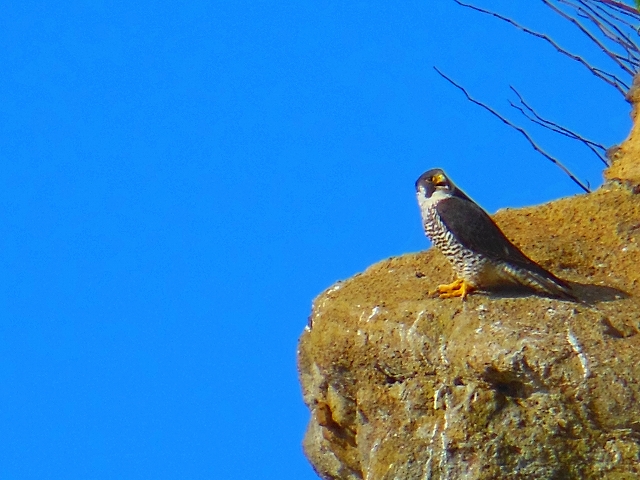 DSCN3280.jpg