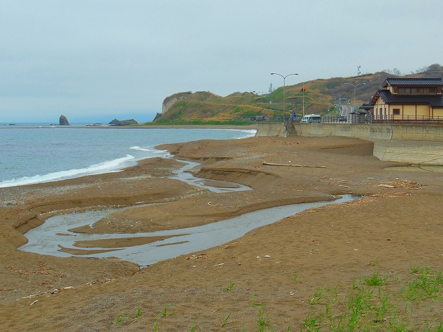 DSCN3304.jpg
