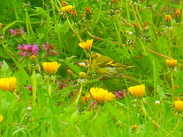 DSCN3308.jpg