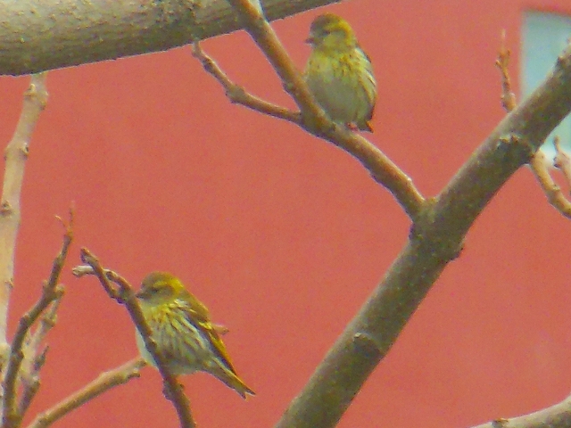 DSCN3321.jpg