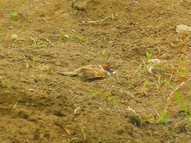DSCN3323.jpg