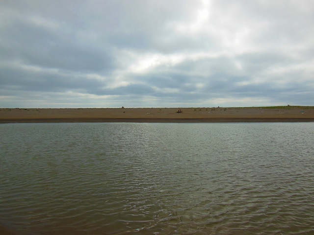 DSCN3334.jpg