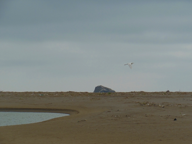 DSCN3336.jpg
