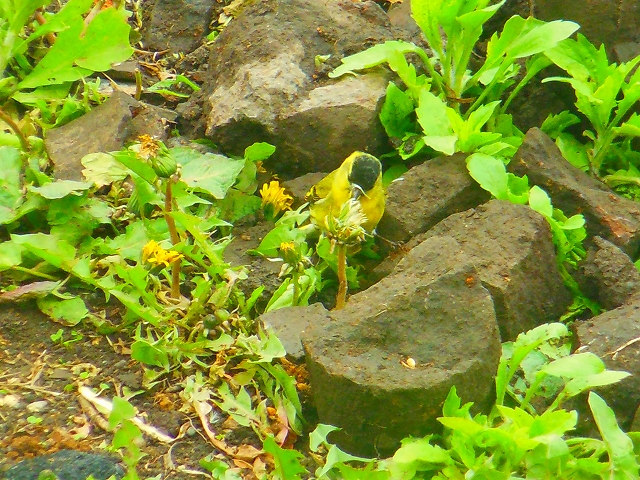 DSCN3410.jpg