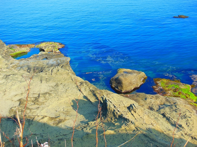 DSCN3558.jpg