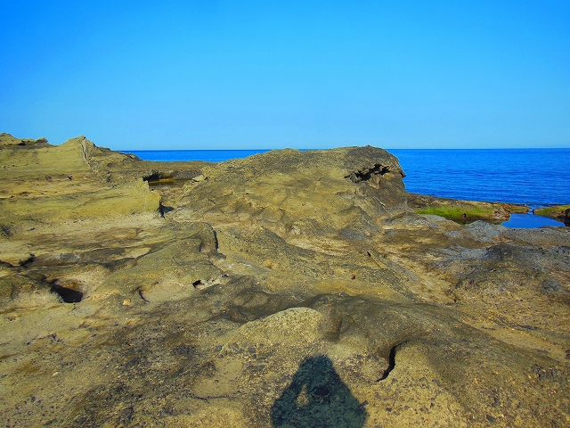 DSCN3560.jpg