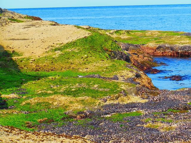 DSCN3569.jpg