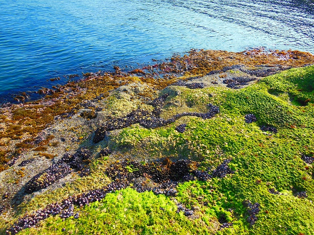 DSCN3575.jpg