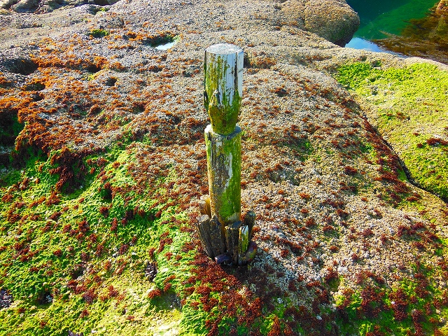 DSCN3576.jpg