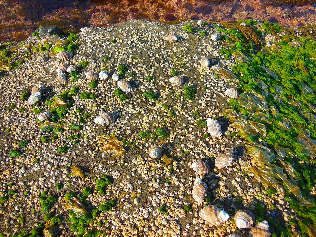 DSCN3584.jpg