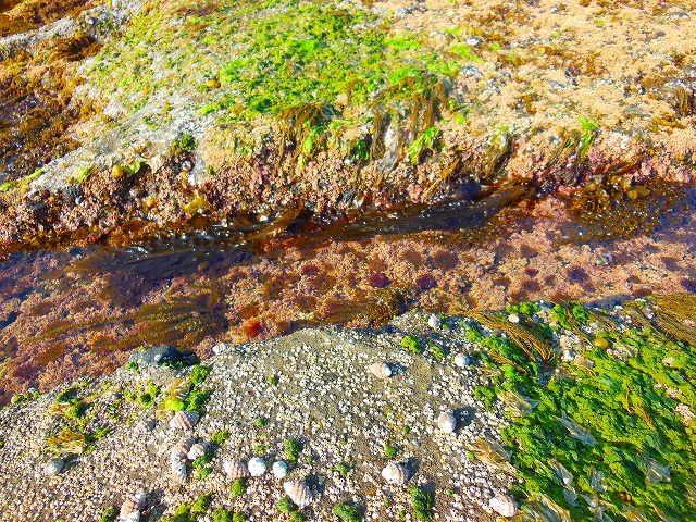 DSCN3585.jpg